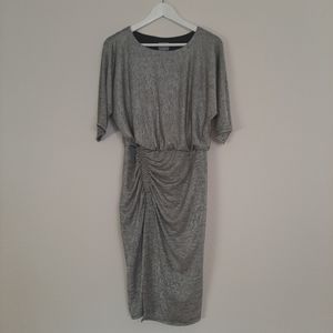 Rabbit Designs Dolman Ruched Gathered Silver Dress